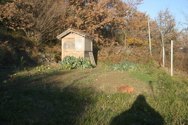 Garten.JPG