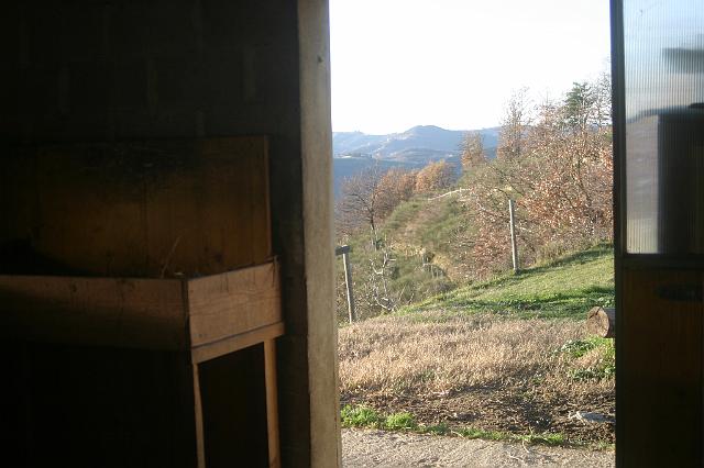 Stall6.JPG