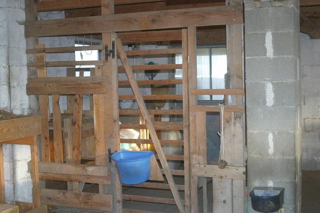 Stall7.JPG