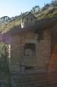 backhaus